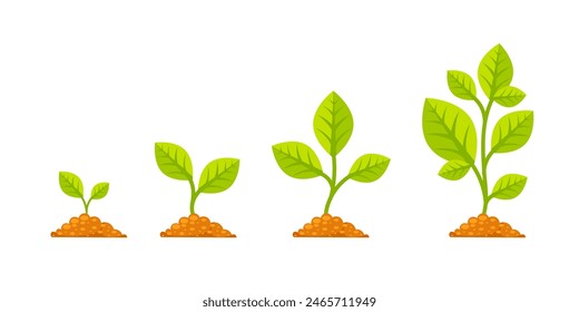 Tree grow with green leaf. Phases plant growing. Stages increase of finance in entrepreneurship.