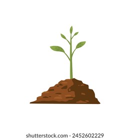 Tree grow. Plant growth from seed to sapling with green leaf. Stages of seedling and growing tree in soil. Gardening process vector concept. Eco, botanical cultivation, green foliage on white