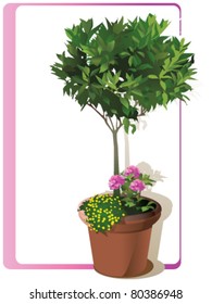 Árbol que crece en maceta decorativa