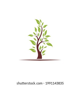 diseño de logotipo de crecimiento de árboles
adecuado para todas las marcas