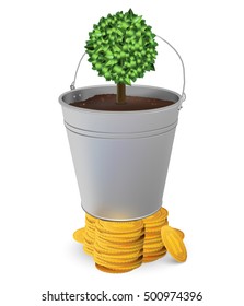 Tree growing on steel bucket in saving money concept