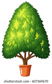 Tree growing in the pot illustration