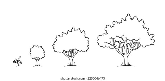 Proceso de cultivo de árboles. Etapa de desarrollo. Jardín de huertos. Tamaños de pequeño a grande. Curso de contorno modificable. Infografía vectorial.