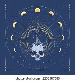 Tree Growing from a Skull  and Phases of Moon Medieval Esoteric Illustration. Vector illustration