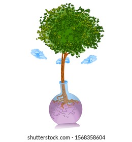 Tree growing in the test tube up to the clouds. Vector illustration.
