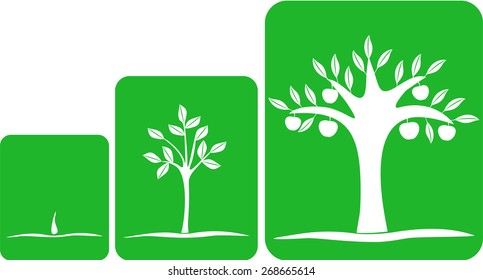 tree grows