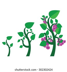Tree Growth