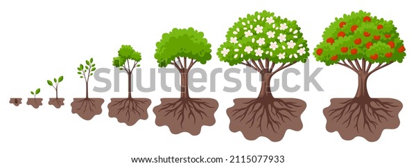 76,945 Cycle Flower Images, Stock Photos & Vectors | Shutterstock