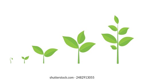 Diagrama de crecimiento de árboles con hoja verde, planta natural. Ilustración vectorial en estilo plano