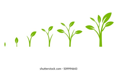 Tree growth diagram with green leaf. Business cycle development. Vector illustration isolated on white background.