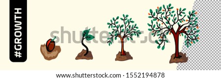 Tree growth diagram with green leaf, nature plant. Set of illustrations with phases of plant growth. Flat style. growing tree. Set of abstract stylized trees. Nature illustration. Vector illustration