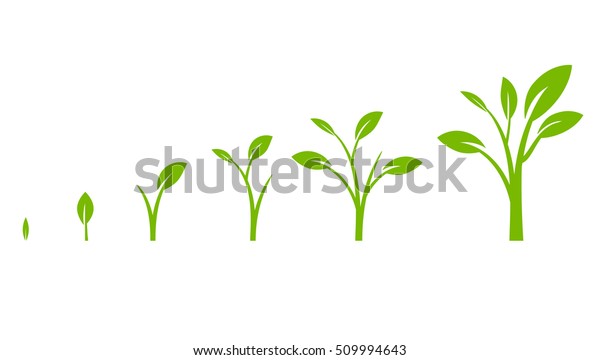 緑の葉を持つ木の成長図 ビジネス サイクルの開発 白い背景にベクターイラスト のベクター画像素材 ロイヤリティフリー