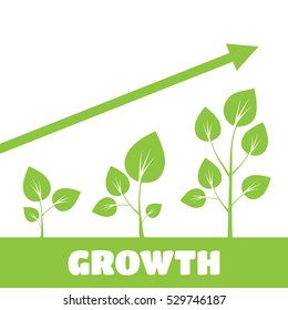 Tree growth diagram. Green tree growth vector