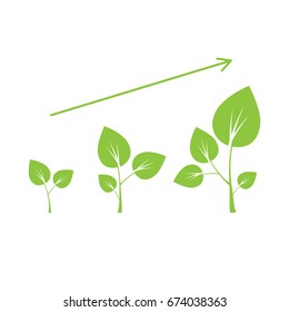 Tree growth diagram vector illustration