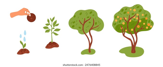 Tree growth life cycle. Growing stages from seedling to harvest. Hand plants seed in ground. Sprout makes way through soil. Green foliage crown. Fruits ripening. Garish