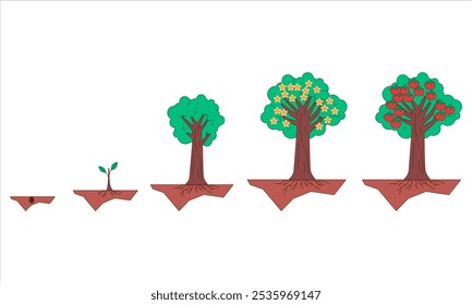 Fase de crescimento da árvore estágios de semente broto florescendo floração dando fruto crescer planta natural botânica germinação planta projeto de sistema raiz de cultivo