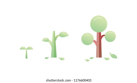 Tree growth process. Timeline of tree growth and timeline infographic
