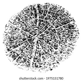 Tree growth rings. Natural cut wood. Cross section of a tree. Tree Growth. Wood Structure. Vector illustration.