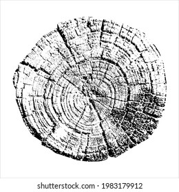 Tree growth rings. Natural cut wood. Cross section of a tree. Tree Growth. Wood Structure. Vector illustration.