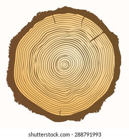 Tree growth rings. Top view of a tree stump isolated on white background. Vector wooden background and saw cut tree trunk. Illustration on the theme of forests and logging.