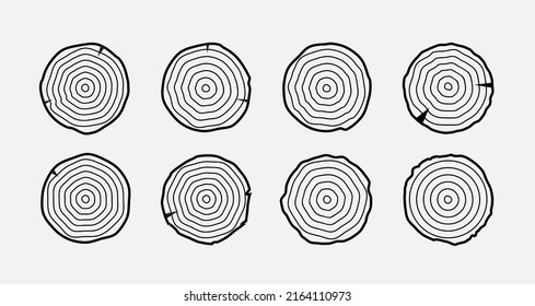 Tree growth rings wood trunk vector annual organic stump. Tree circle icon design