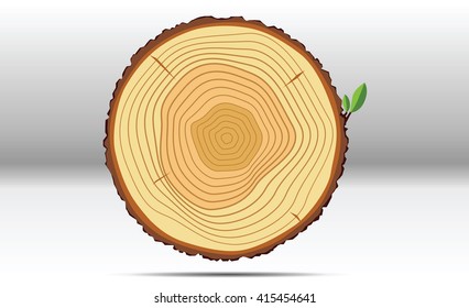 Tree growth rings wood vector.