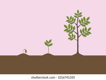 Tree growth, save the tree vector.