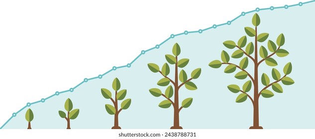 Tree growth speed line graph. Infographic chart