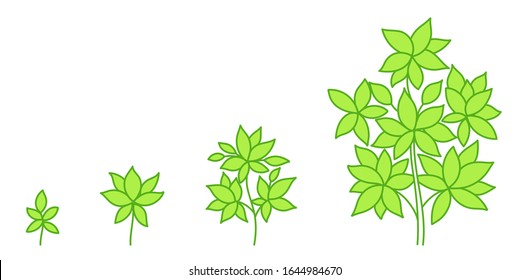 Tree growth stages. Development stage. Animation progression. Green colour. Vector eco infographic.
