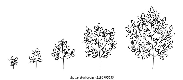 Tree growth stages. Plant development. Vector illustration. Editable outline stroke thickness. The life cycle.