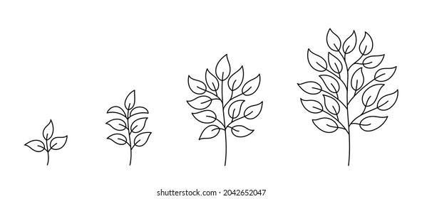 Tree growth stages. Seedling development stage. Animation progression infographic. Vector contour line. Open paths. Editable stroke. Plant life process.