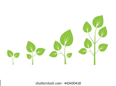Tree growth vector diagram. Green tree eps10