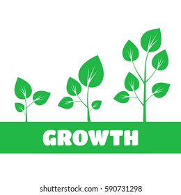 Tree growth vector diagram. Green tree vector