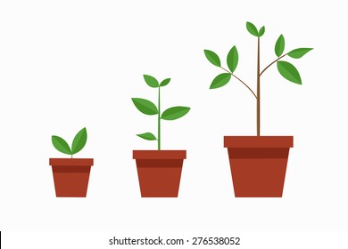 tree / growth / vector / illustration / flat design