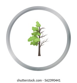 Tree half full of green leaf and half dry icon in outline style isolated on white background. Bio and ecology symbol stock vector illustration.