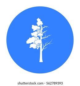 Tree half full of green leaf and half dry icon in outline style . Bio and ecology symbol stock vector illustration.