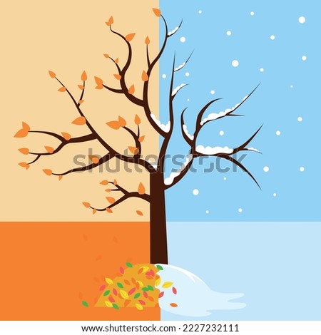Tree halves in autumn and winter