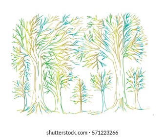 Tree hand drawing illustration
