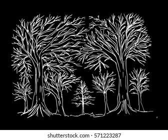 Tree hand drawing illustration