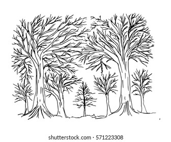Tree hand drawing illustration