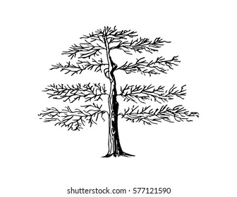 Tree hand drawing illustration