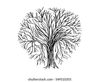 Tree hand drawing illustration.Decorative style