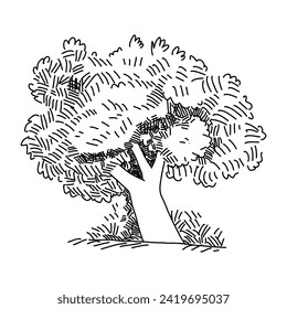 tree hand drawn illustration, nature sketch