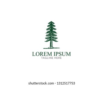 tree hand drawn logo template