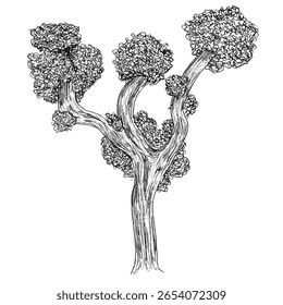 tree hand drawn sketch for architecture asset of plant flora and wild life poster or banner lineart flat vector illustration isolated on white background