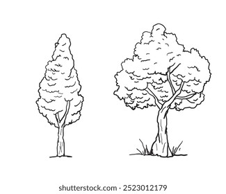 Estilo del doodle del bosquejo dibujado a mano del árbol aislado en el fondo blanco.