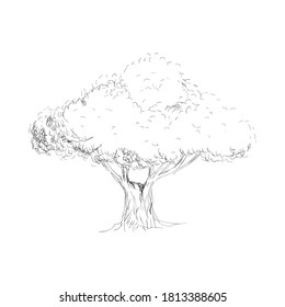 Baumhandgezeichneter Skizzenstil einzeln auf weißem Hintergrund, Vektorgrafik eps10 für Design-Element-Naturdekoration 