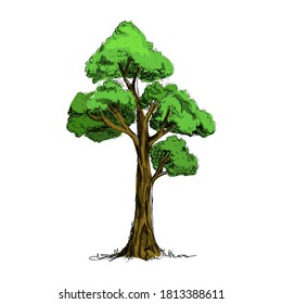 tree hand drawn sketch style isolated on white background vector illustration eps 10 for design element nature decoration 