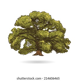 Tree hand drawn, vector illustration