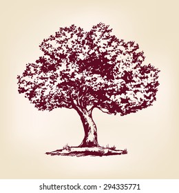 Tree hand drawn vector llustration realistic sketch